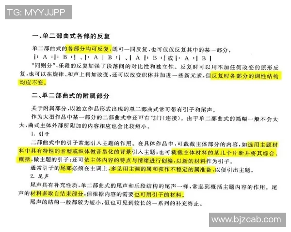 武汉排球队在锦标赛中的技术表现分析与点评